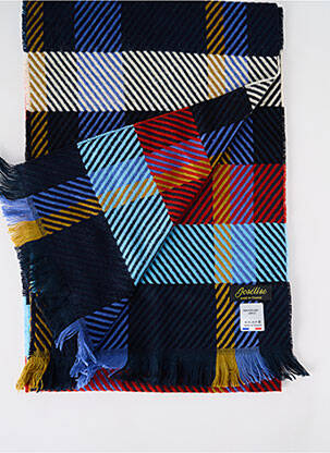 Echarpe imprimé fantaisie bleu JOSÉLISE femme