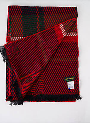 Echarpe imprimé fantaisie rouge JOSÉLISE femme