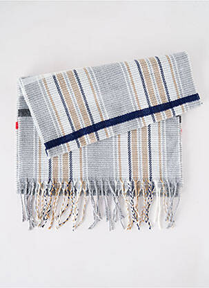 Echarpe gris JOSÉLISE pour femme