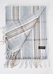 Echarpe gris JOSÉLISE pour femme seconde vue