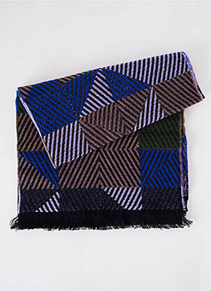 Echarpe imprimé fantaisie bleu JOSÉLISE femme