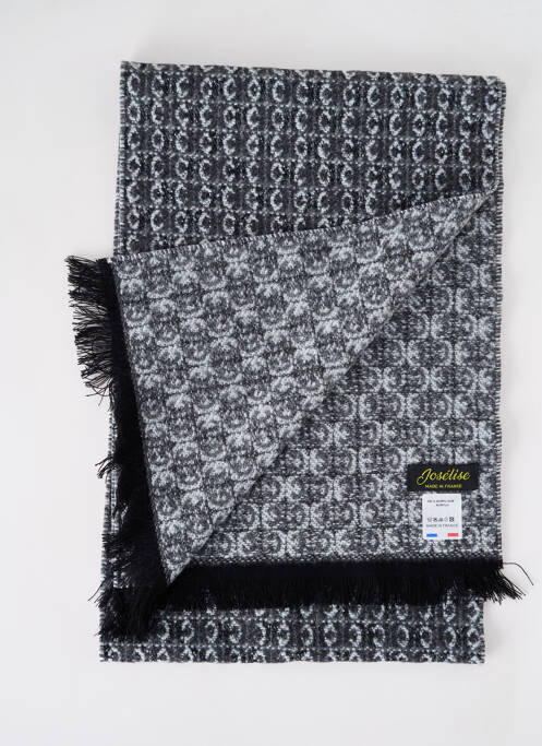 Echarpe gris JOSÉLISE pour femme