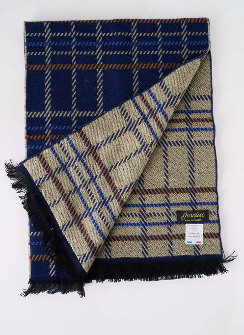 Echarpe bleu JOSÉLISE pour femme