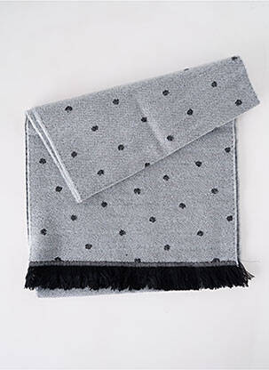 Echarpe gris JOSÉLISE pour femme