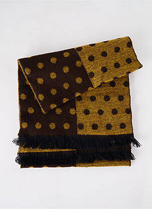 Echarpe imprimé fantaisie marron JOSÉLISE femme