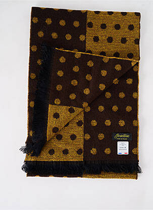 Echarpe imprimé fantaisie marron JOSÉLISE femme