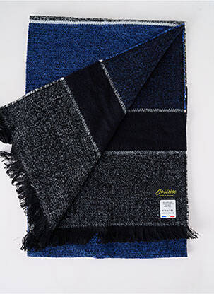 Echarpe imprimé fantaisie bleu JOSÉLISE femme