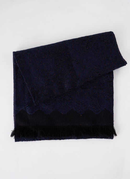 Echarpe bleu JOSÉLISE pour femme