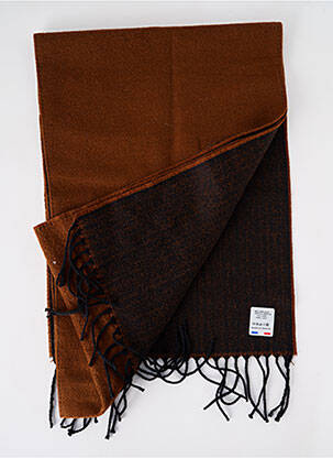Echarpe imprimé fantaisie marron JOSÉLISE femme