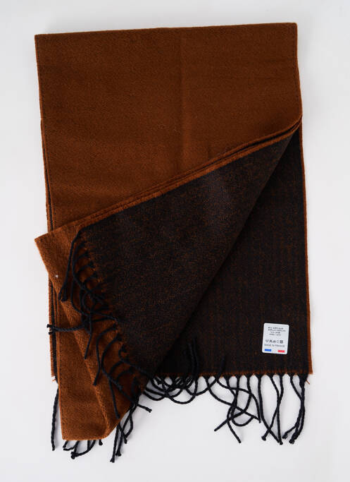 Echarpe marron JOSÉLISE pour femme