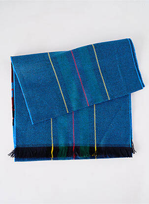 Echarpe imprimé fantaisie bleu JOSÉLISE femme
