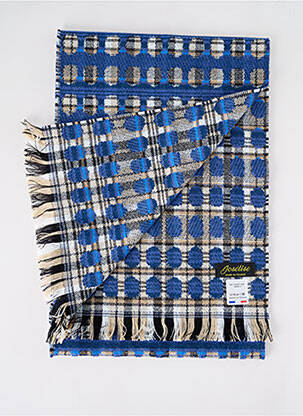 Echarpe imprimé fantaisie bleu JOSÉLISE femme