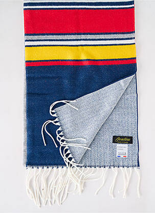 Echarpe imprimé fantaisie bleu JOSÉLISE femme