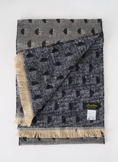 Echarpe gris JOSÉLISE pour femme
