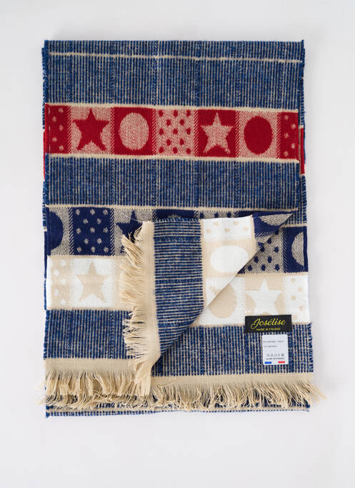 Echarpe bleu JOSÉLISE pour femme