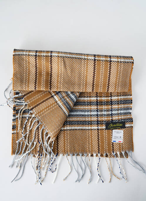 Echarpe marron JOSÉLISE pour femme
