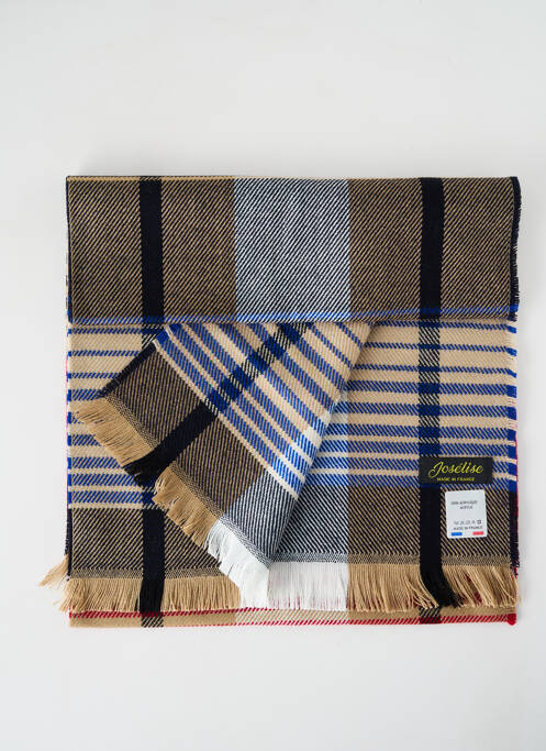 Echarpe bleu JOSÉLISE pour femme