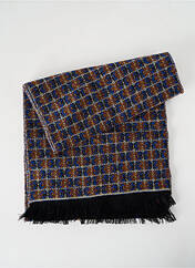 Echarpe bleu JOSÉLISE pour femme seconde vue