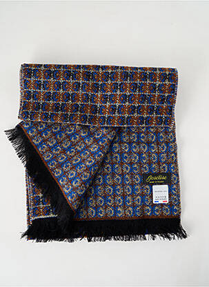 Echarpe imprimé fantaisie bleu JOSÉLISE femme