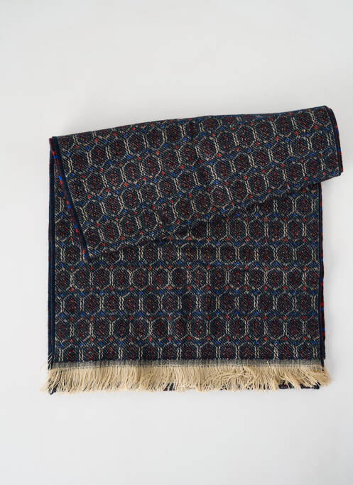 Echarpe bleu JOSÉLISE femme