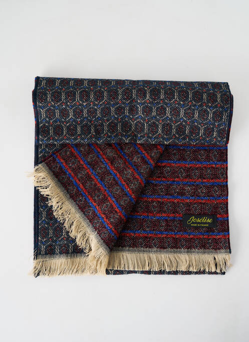 Echarpe bleu JOSÉLISE femme