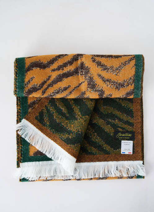 Echarpe vert JOSÉLISE pour femme