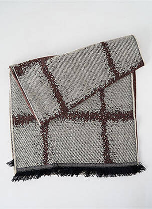 Echarpe imprimé fantaisie marron JOSÉLISE femme