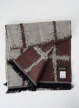 Echarpe imprimé fantaisie marron JOSÉLISE femme