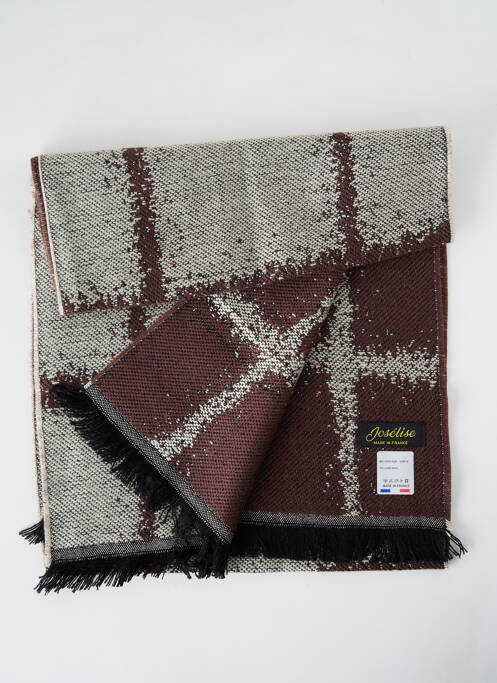 Echarpe marron JOSÉLISE pour femme