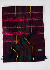 Echarpe violet JOSÉLISE pour femme seconde vue