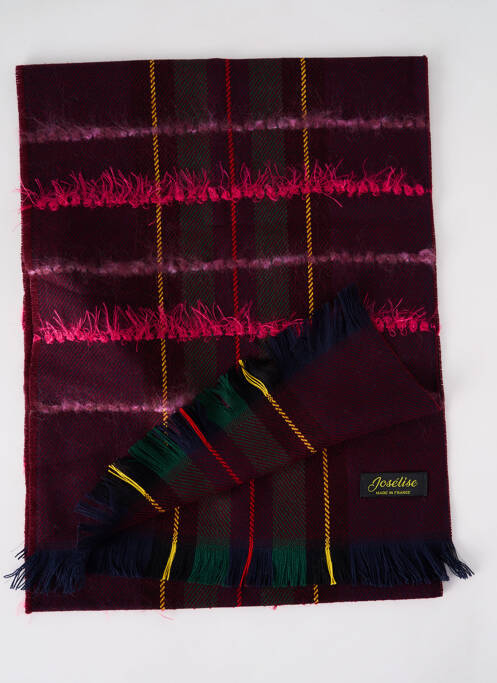 Echarpe violet JOSÉLISE pour femme