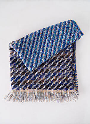 Echarpe imprimé fantaisie bleu JOSÉLISE femme