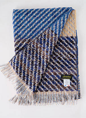 Echarpe imprimé fantaisie bleu JOSÉLISE femme