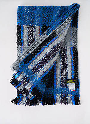 Echarpe imprimé fantaisie bleu JOSÉLISE femme