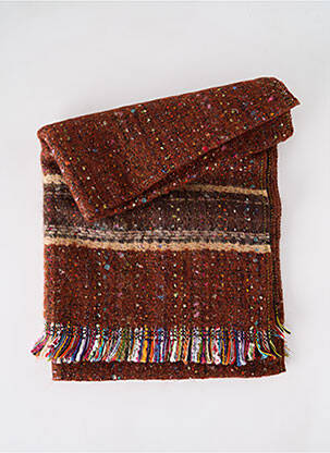 Echarpe imprimé fantaisie marron JOSÉLISE femme