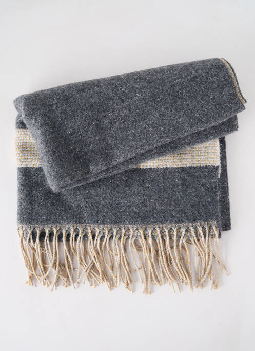 Echarpe gris JOSÉLISE pour femme
