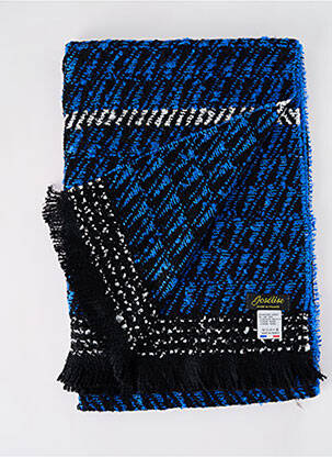Echarpe imprimé fantaisie bleu JOSÉLISE femme