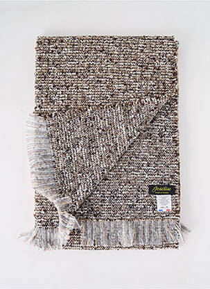 Echarpe imprimé fantaisie marron JOSÉLISE femme