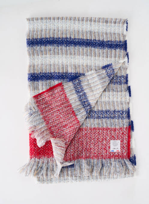 Echarpe bleu JOSÉLISE pour femme