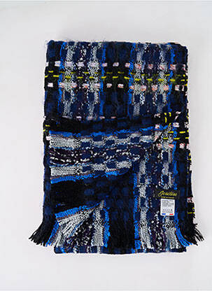 Echarpe imprimé fantaisie bleu JOSÉLISE femme