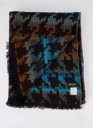 Echarpe imprimé fantaisie marron JOSÉLISE femme