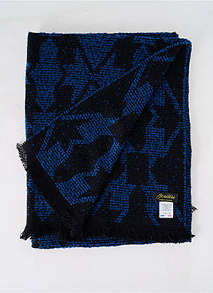 Echarpe imprimé fantaisie bleu JOSÉLISE femme