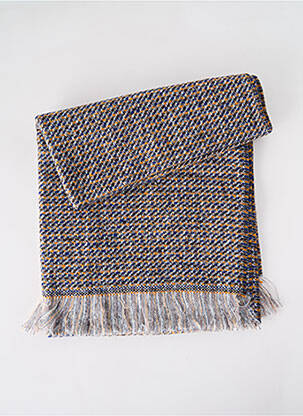 Echarpe imprimé fantaisie bleu JOSÉLISE femme