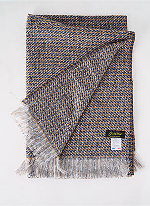 Echarpe imprimé fantaisie bleu JOSÉLISE femme