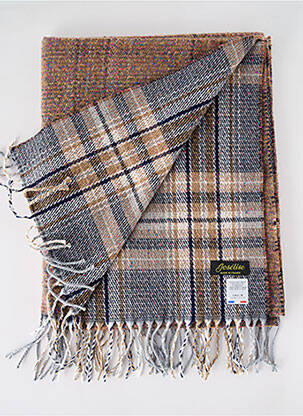 Echarpe imprimé fantaisie marron JOSÉLISE femme