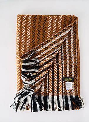 Echarpe imprimé fantaisie marron JOSÉLISE femme