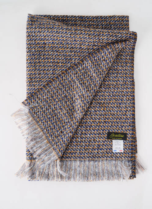 Echarpe bleu JOSÉLISE pour femme