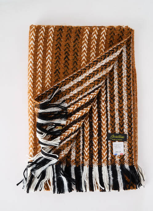 Echarpe marron JOSÉLISE pour femme