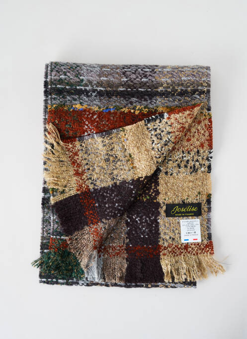 Echarpe marron JOSÉLISE pour femme