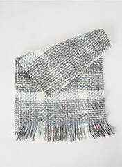 Echarpe gris JOSÉLISE pour femme seconde vue